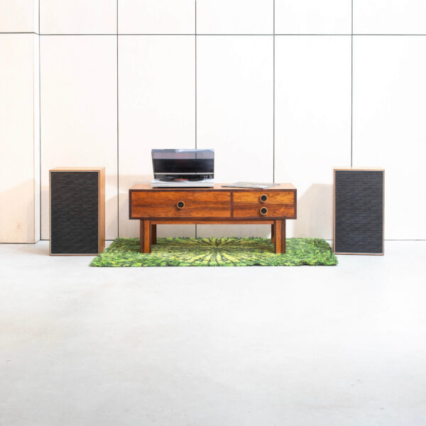 Sony SS-2900 kõlarid